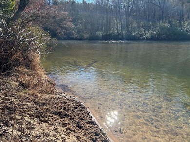 Spectacular 85+/- acre riverfront tract on the Chattahoochee - photo 15
