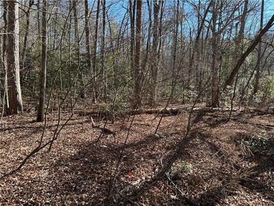 Spectacular 85+/- acre riverfront tract on the Chattahoochee - photo 16
