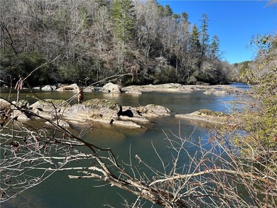 Spectacular 85+/- acre riverfront tract on the Chattahoochee - photo 17