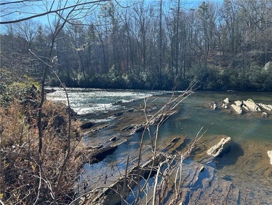 Spectacular 85+/- acre riverfront tract on the Chattahoochee - photo 18