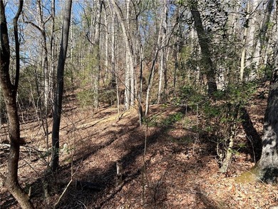 Spectacular 85+/- acre riverfront tract on the Chattahoochee - photo 19