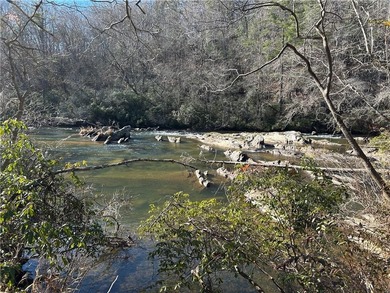 Spectacular 85+/- acre riverfront tract on the Chattahoochee - photo 20