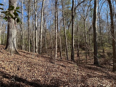 Spectacular 85+/- acre riverfront tract on the Chattahoochee - photo 23