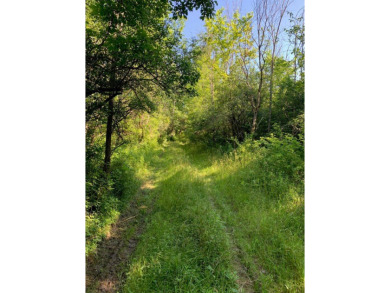 (private lake, pond, creek) Acreage For Sale in Watkins Glen New York