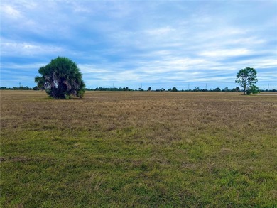 Rotunda Meadows Lakes  Lot For Sale in Placida Florida