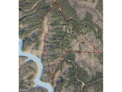 (private lake, pond, creek) Acreage For Sale in Elberton Georgia