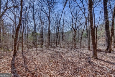 Lot 28 - This huge lot on Benjamin Brown Circle has over 270' of - photo 4