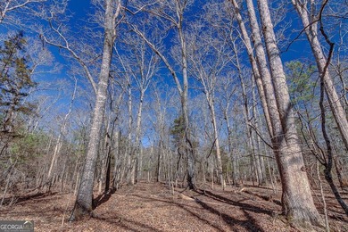 Lot 28 - This huge lot on Benjamin Brown Circle has over 270' of - photo 5