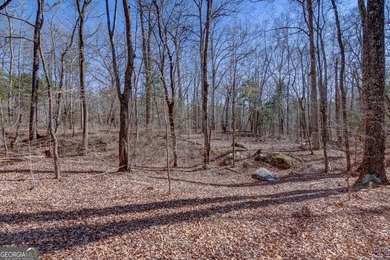 Lot 28 - This huge lot on Benjamin Brown Circle has over 270' of - photo 6