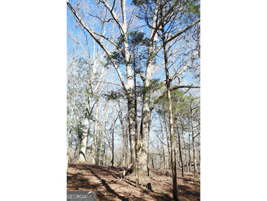 Lot 28 - This huge lot on Benjamin Brown Circle has over 270' of - photo 7