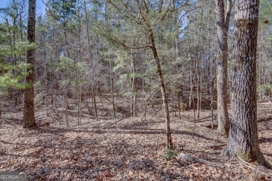 Lot 28 - This huge lot on Benjamin Brown Circle has over 270' of - photo 8