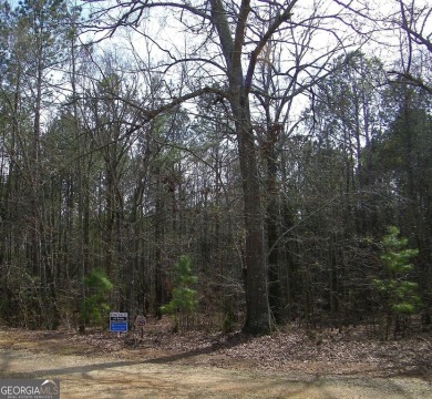 Lake Russell Acreage For Sale in Elberton Georgia