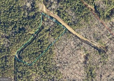 Lot 29 - Absolutely huge private corner tract with over 1060 of - photo 3