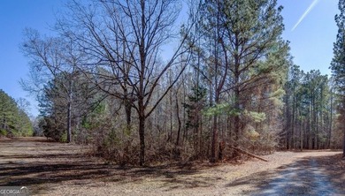 Lot 29 - Absolutely huge private corner tract with over 1060 of - photo 4