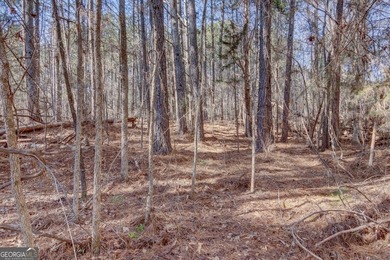 Lot 29 - Absolutely huge private corner tract with over 1060 of - photo 5