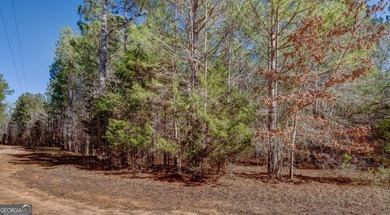 Lot 29 - Absolutely huge private corner tract with over 1060 of - photo 6