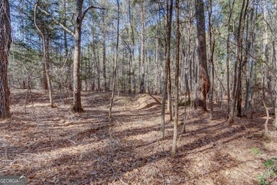 Lot 29 - Absolutely huge private corner tract with over 1060 of - photo 7