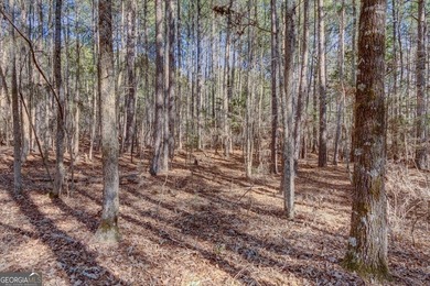 Lot 29 - Absolutely huge private corner tract with over 1060 of - photo 8
