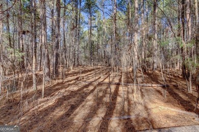 Lot 29 - Absolutely huge private corner tract with over 1060 of - photo 9