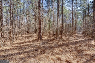 Lot 29 - Absolutely huge private corner tract with over 1060 of - photo 10