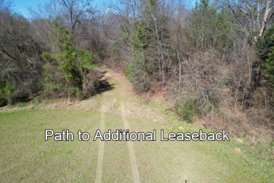16.27 ACRES PRIME LAKE FORK ACREAGE + APPROX 23 ACRES LEASEBACK - photo 26