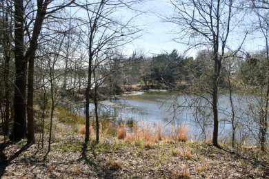 16.27 ACRES PRIME LAKE FORK ACREAGE + APPROX 23 ACRES LEASEBACK - photo 9