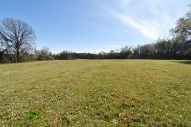 16.27 ACRES PRIME LAKE FORK ACREAGE + APPROX 23 ACRES LEASEBACK - photo 23