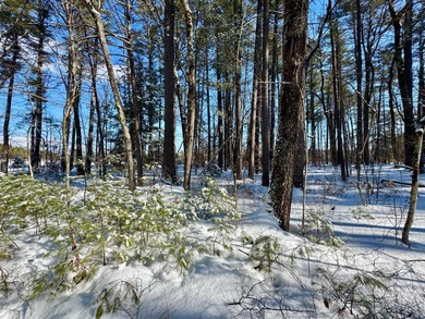 Saco River Acreage For Sale in Fryeburg Maine