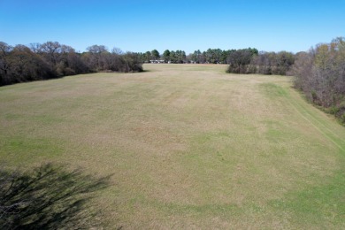 16.27 ACRES PRIME LAKE FORK ACREAGE + APPROX 23 ACRES LEASEBACK - photo 18