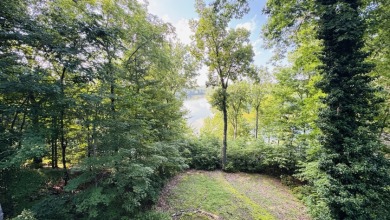 The Lake Life You've Been Waiting For! Call Josh! - photo 16