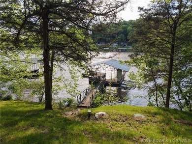 Lake life just hits different in Big Buffalo Cove - known for - photo 25