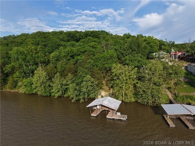 Lake life just hits different in Big Buffalo Cove - known for - photo 26