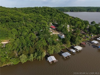 Lake life just hits different in Big Buffalo Cove - known for - photo 27