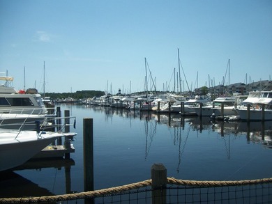 Look at this view!! Step inside to this stunning, better then - photo 43