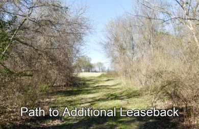16.27 ACRES PRIME LAKE FORK ACREAGE + APPROX 23 ACRES LEASEBACK - photo 27