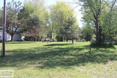 Lake Lot For Sale in Lake, Michigan
