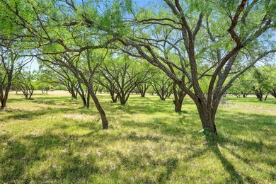 Just 30 Miles South of Abilene you will find an incredible - photo 28