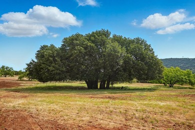 Just 30 Miles South of Abilene you will find an incredible - photo 31