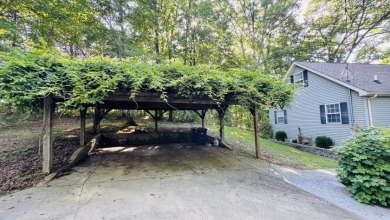 The Lake Life You've Been Waiting For! Call Josh! - photo 3