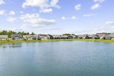 Set on a premium waterfront lot with breathtaking lake views - photo 44