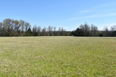 16.27 ACRES PRIME LAKE FORK ACREAGE + APPROX 23 ACRES LEASEBACK - photo 20