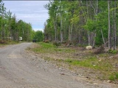 Lake Hebron Acreage For Sale in Monson Maine
