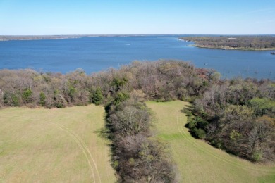 16.27 ACRES PRIME LAKE FORK ACREAGE + APPROX 23 ACRES LEASEBACK - photo 17