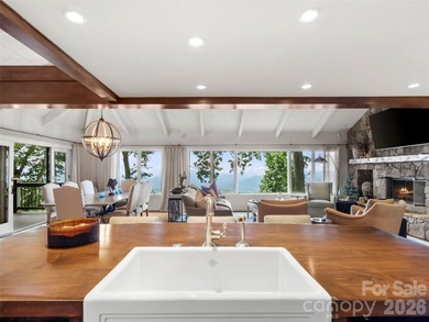 This home sits near the top of the mountain. Its recently - photo 10