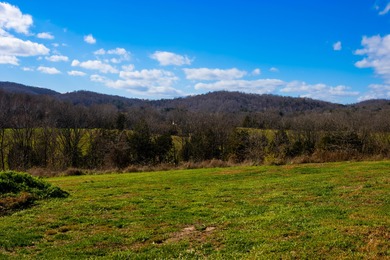 Discover this spacious 5-bedroom, 3-bath Clayton home on 15.4