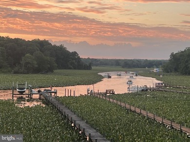 Navigable Deep Waterfront living on the Aquia Creek! Located in - photo 31