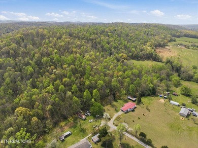 Well-maintained 1,296 sq ft double-wide situated on 5.24 acres - photo 38