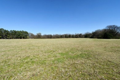 16.27 ACRES PRIME LAKE FORK ACREAGE + APPROX 23 ACRES LEASEBACK - photo 19