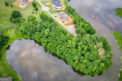 Rare opportunity to secure a premier waterfront homesite in the - photo 10