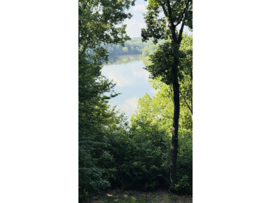The Lake Life You've Been Waiting For! Call Josh! - photo 17